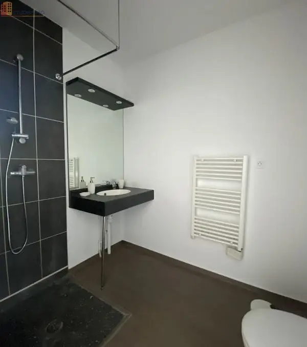 Studio meublé 20m² Talence - Dernier étage, lumineux - Photo 4