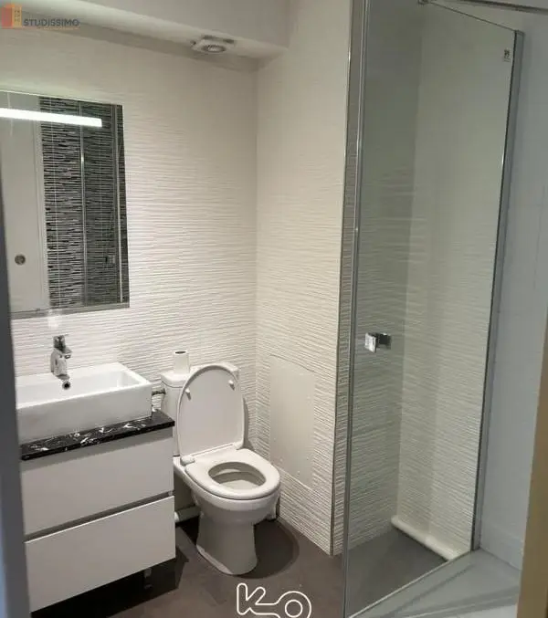 Studio meublé 25m² Rennes centre - Meublé, DPE D - Photo 4