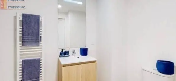 Studio meublé 17m² Villenave-d'Ornon - Meublé, 1 pièce - Photo 3