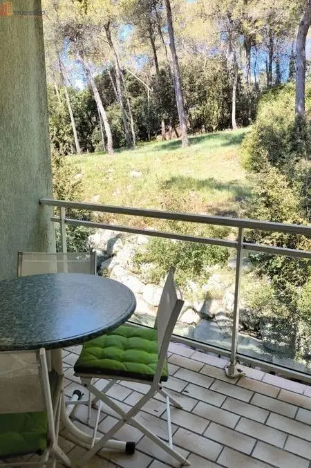 Studio 25m² Saint-Gély-du-Fesc - Meublé, lumineux - Photo 1