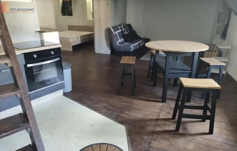Studio meublé 49m² Issoudun - Lumineux, calme - Photo 1