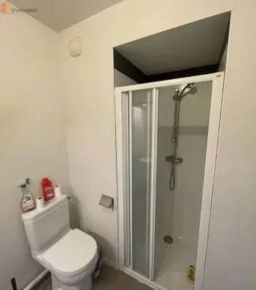 Studio meublé 25m² Rennes centre - Lumineux, meublé - Photo 5