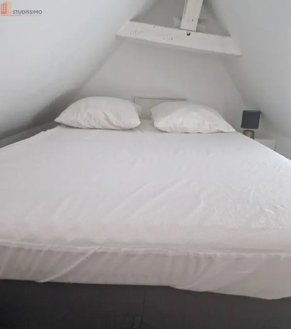 Studio meublé 22m² Vitré - Meublé, DPE C - Photo 17
