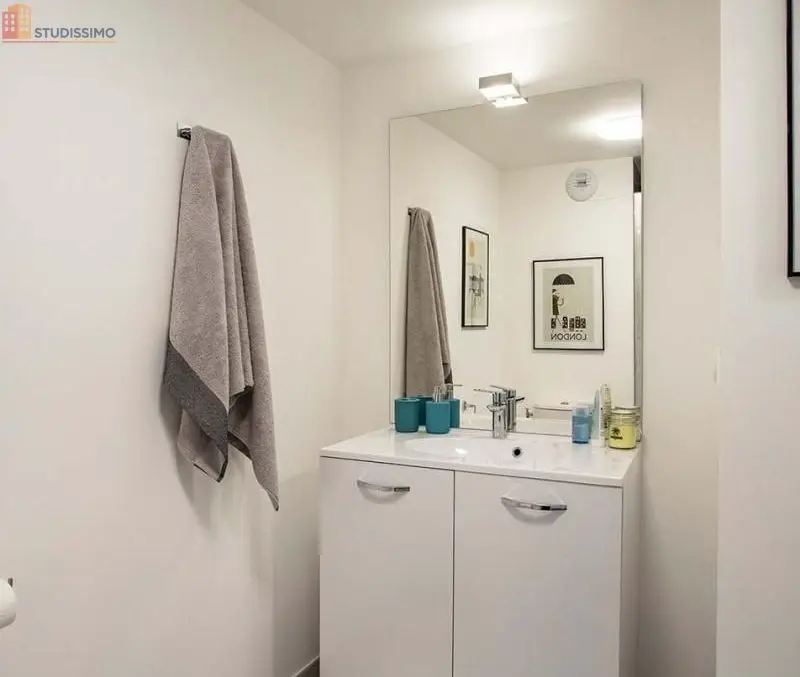 Studio meublé 18m² Tours 37200 - Meublé, DPE B - Photo 6