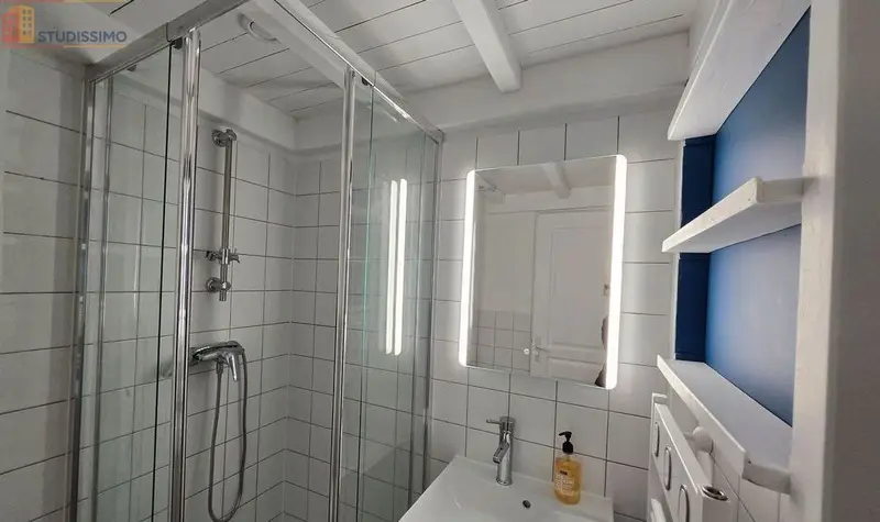 Studio meublé 22m² Rennes centre - Calme, lumineux - Photo 5