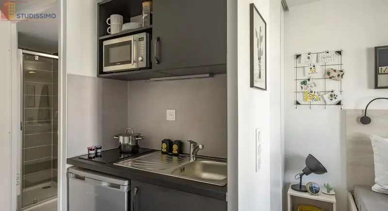 Studio meublé 19m² Tours 37000 - Meublé, DPE C - Photo 15