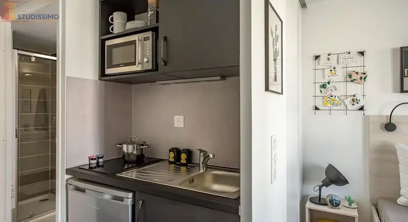 Studio meublé 19m² Tours 37000 - Meublé, DPE C - Photo 9