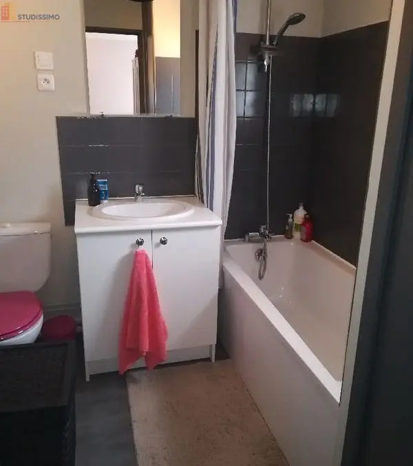 Studio 31m² Tours - Meublé, 2e étage - Photo 1