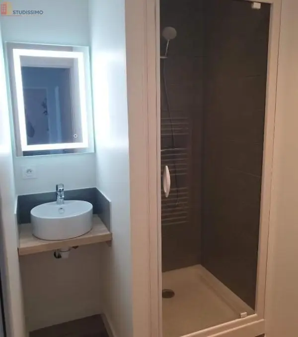 Studio meublé 11m² Tours 37200 - Meublé, DPE A - Photo 3