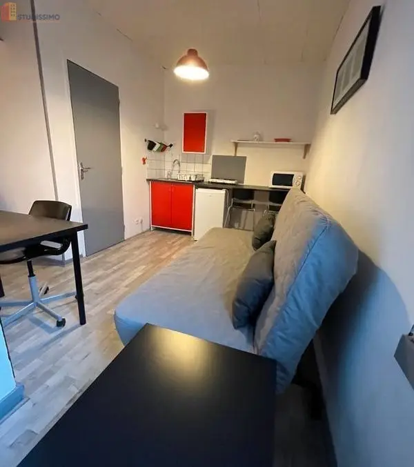 Studio meublé 15m² Tours - Bord de Loire, lumineux - Photo 19