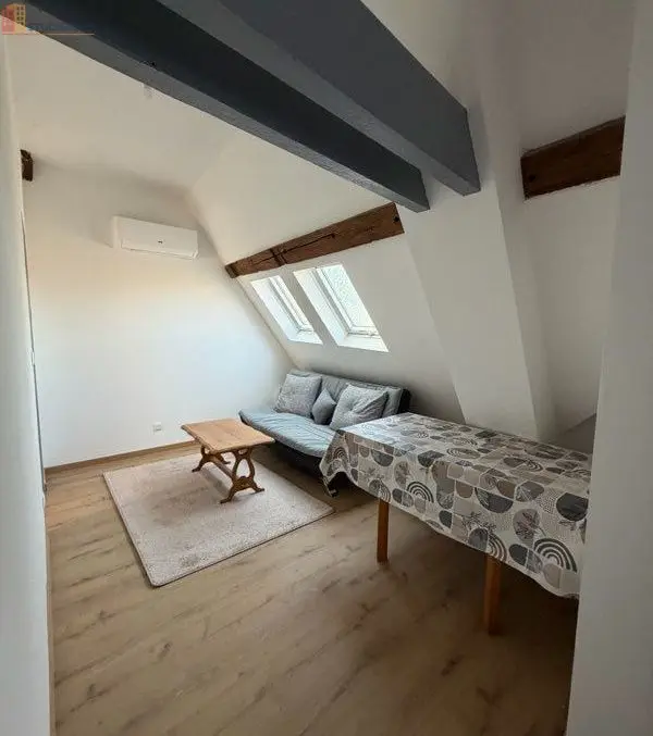 Studio 40m² Amboise - Meublé, cœur de ville - Photo 3