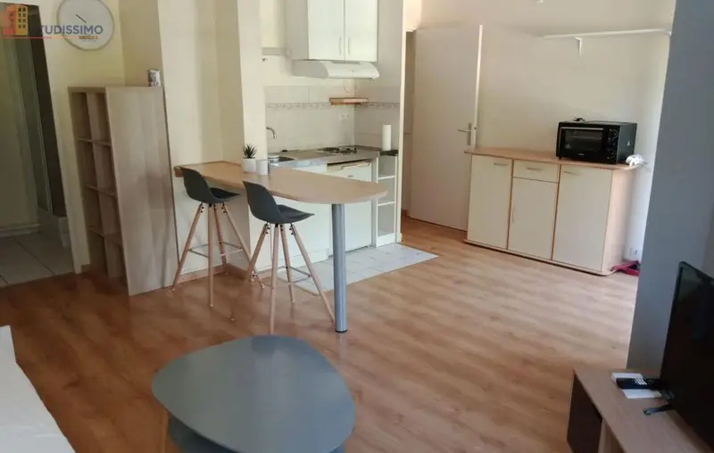 Studio meublé 33m² Tours 37100 - Meublé, DPE D - Photo 13