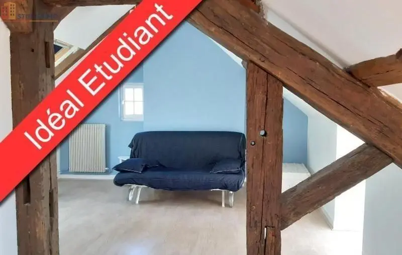 Studio 22m² Tours - - Photo 27