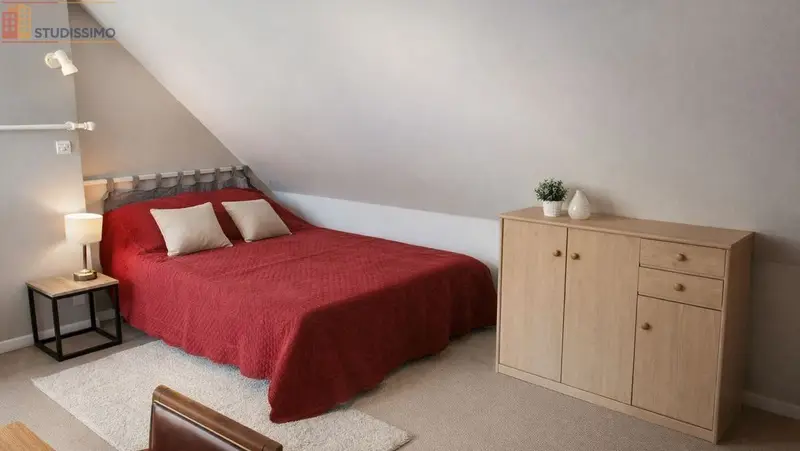Studio meublé 25m² Pocé-sur-Cisse - Étage élevé, lumineux - Photo 5