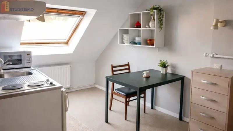 Studio meublé 25m² Pocé-sur-Cisse - Étage élevé, lumineux - Photo 2