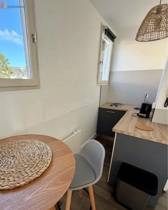 Studio meublé 25m² Saint-Cyr-sur-Loire - Lumineux, bord de Loire - Photo 20
