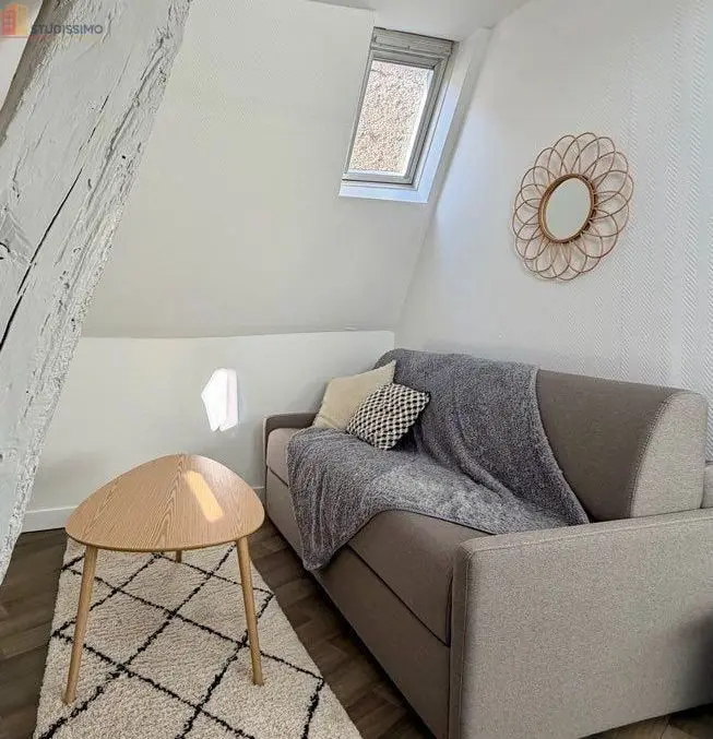 Studio meublé 25m² Saint-Cyr-sur-Loire - Lumineux, bord de Loire - Photo 10