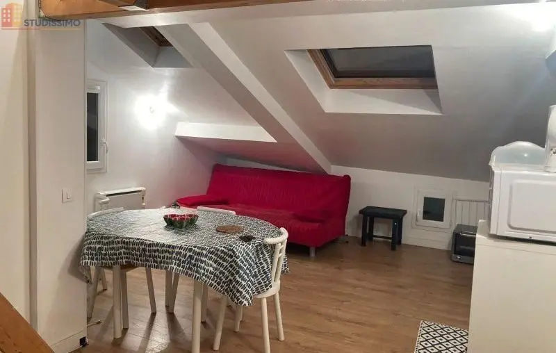 Studio meublé 19m² Grenoble centre - Lumineux, dernier étage - Photo 8