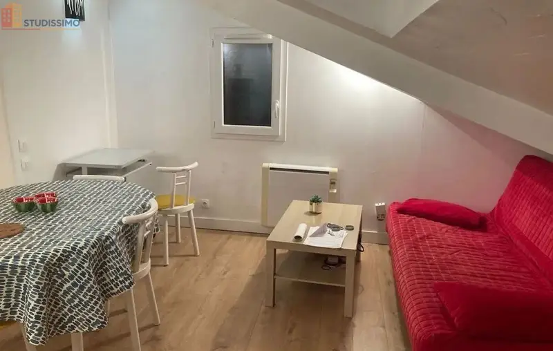 Studio meublé 19m² Grenoble centre - Lumineux, dernier étage - Photo 6