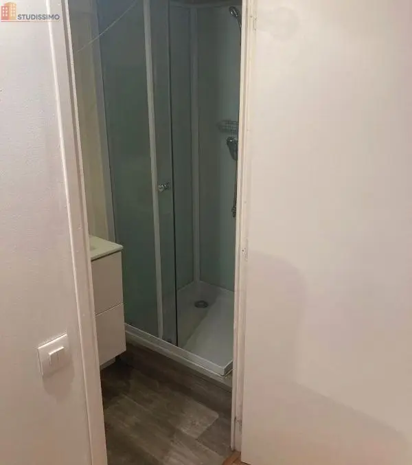 Studio meublé 19m² Grenoble centre - Lumineux, dernier étage - Photo 3