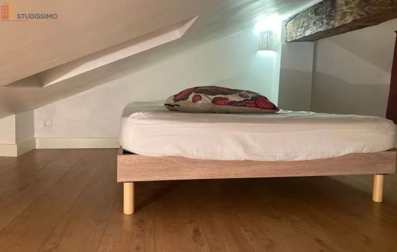 Studio meublé 19m² Grenoble centre - Lumineux, dernier étage - Photo 2