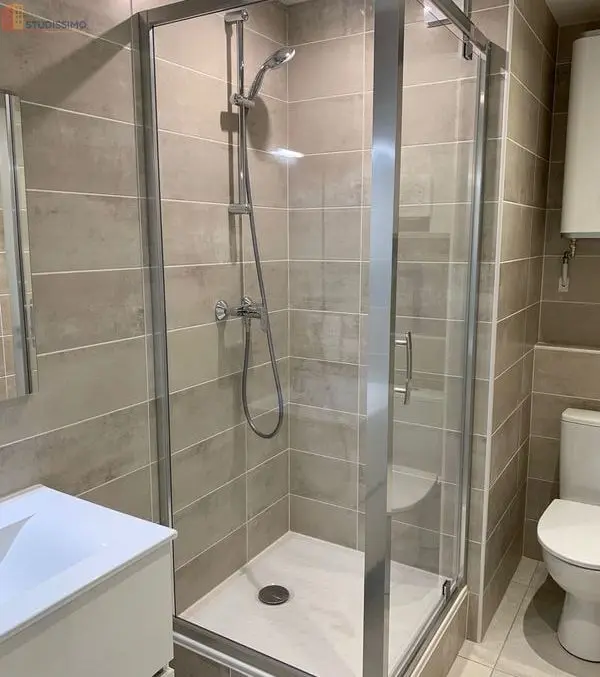 Studio 20m² Grenoble centre - Équipé, proche parc Paul Mistral - Photo 1