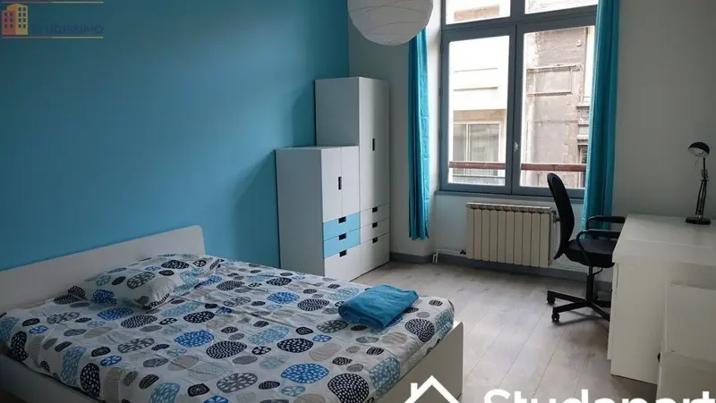 Studio meublé 14m² Grenoble centre - Calme, lumineux - Photo 6