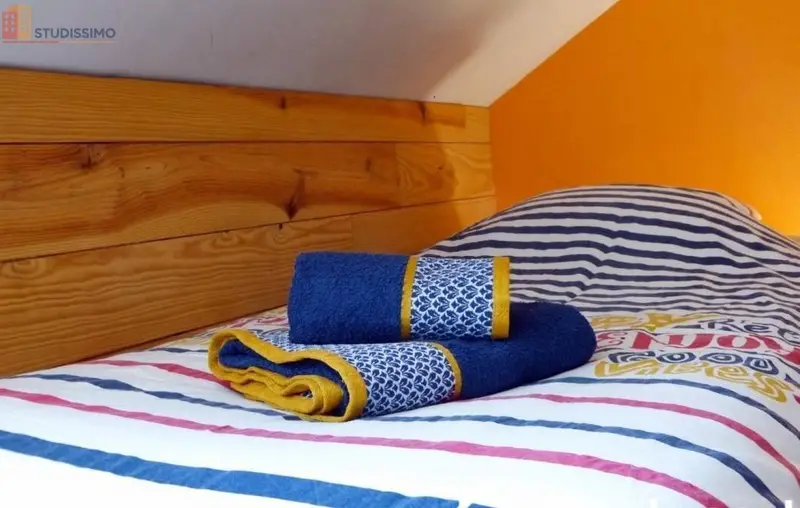 Studio meublé 18m² Grenoble 38000 - Étage élevé, lumineux - Photo 25