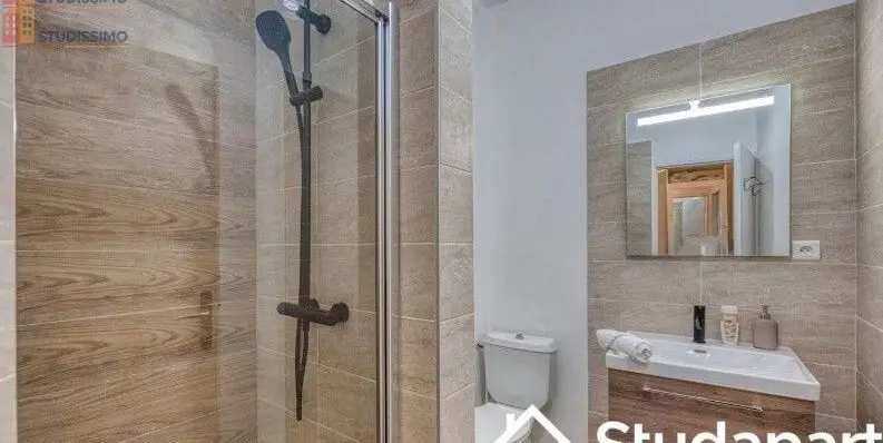 Studio meublé 21m² Grenoble centre - Lumineux, DPE A - Photo 5