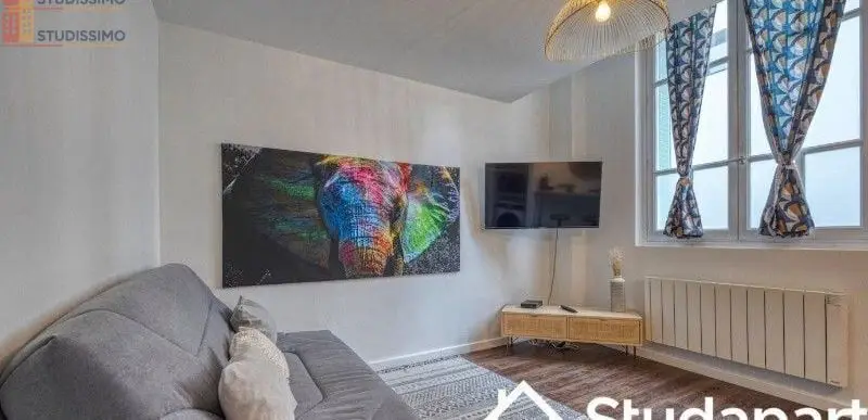 Studio meublé 21m² Grenoble centre - Lumineux, DPE A - Photo 6