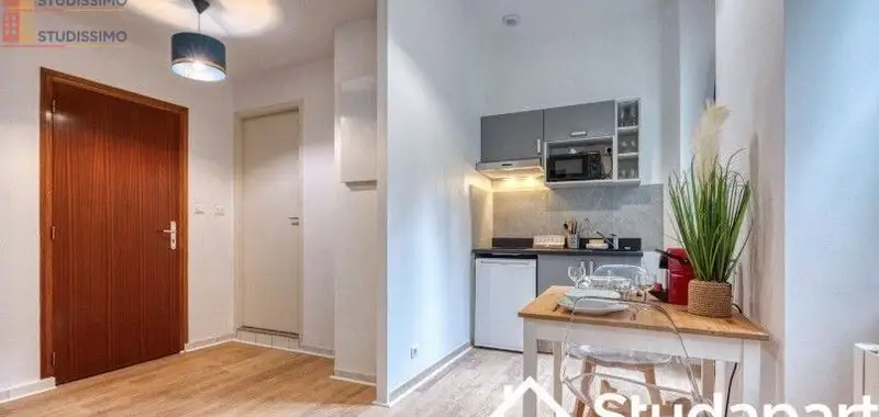 Studio meublé 21m² Grenoble - Lumineux, DPE A - Photo 9
