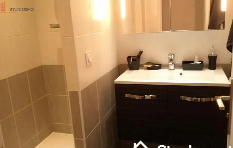 Studio 11m² Grenoble 38100 - Meublé, lumineux - Photo 3