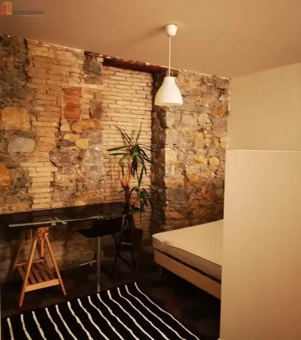 Studio meublé 30m² Grenoble - Rénové, tout équipé - Photo 5