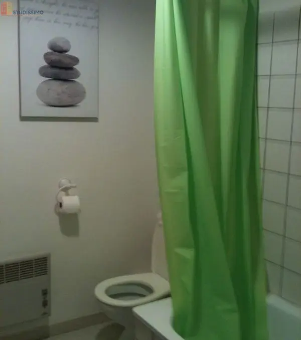 Studio meublé 30m² Vaulnaveys-le-Haut - Meublé, 1er étage - Photo 2