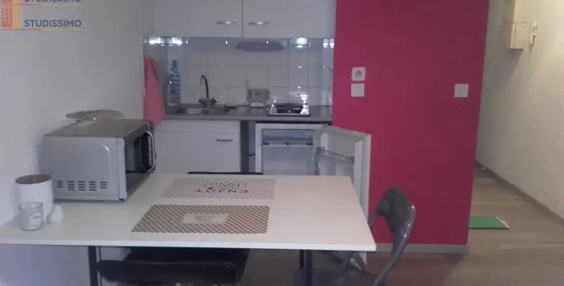 Studio 24m² Grenoble centre - dernier étage, lumineux - Photo 6