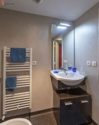 Studio meublé 18m² Grenoble 38000 - Lumineux, étage élevé - Photo 12