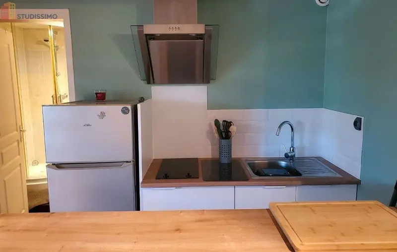 Studio 20m² Vienne 38200 - Meublé, bon accueil - Photo 4
