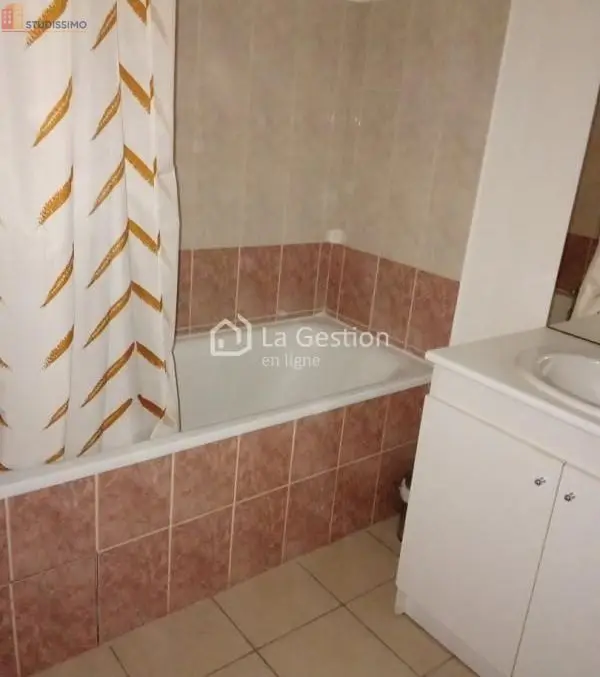 Studio meublé 37m² Grenoble 38100 - Lumineux, étage 4 - Photo 3