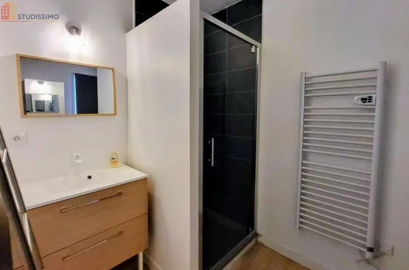 Studio meublé 20m² Aire-sur-l'Adour - Meublé, charges comprises - Photo 3