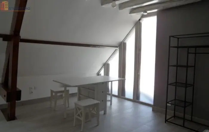 Studio 23m² Le Controis-en-Sologne - without caractéristiques - Photo 2