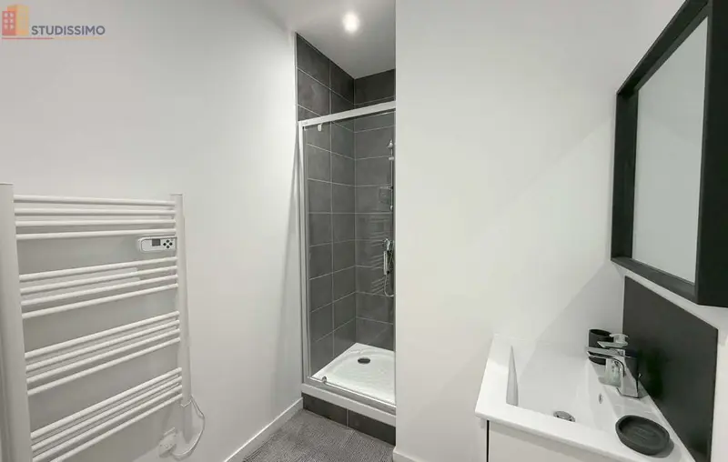 Studio meublé 26m² Saint-Étienne 42100 - Meublé, lumineux - Photo 1