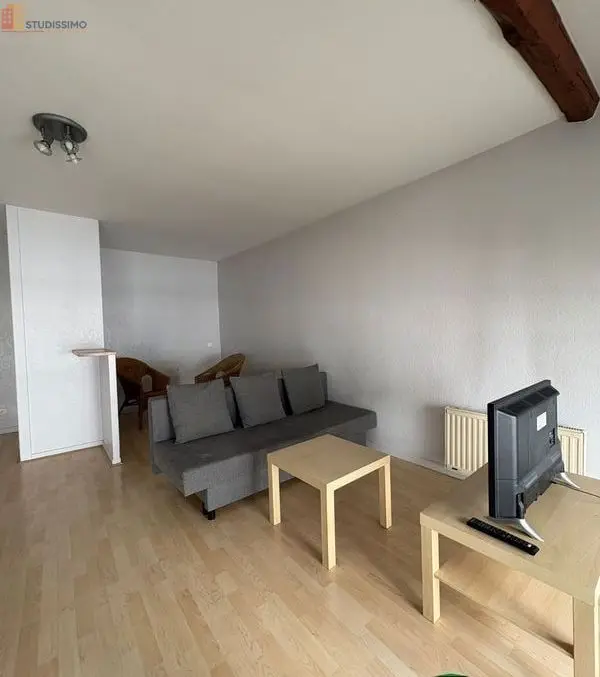 Studio 37m² Saint-Étienne 42000 - Meublé, DPE D - Photo 19