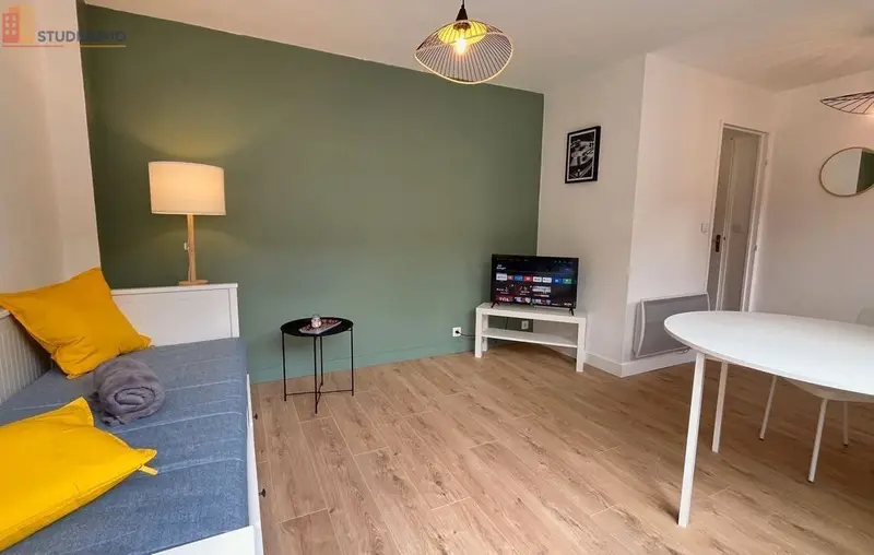 Studio meublé 20m² Saint-Étienne centre - Lumineux - Photo 5