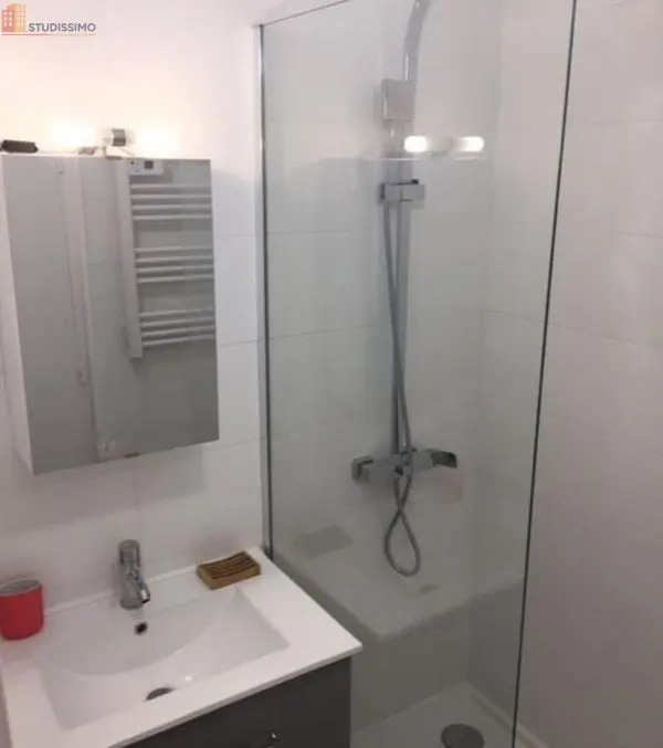 Studio meublé 29m² Saint-Étienne - Lumineux - Photo 4
