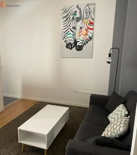 Studio meublé 23m² Saint-Étienne centre - Meublé, 1er étage - Photo 17