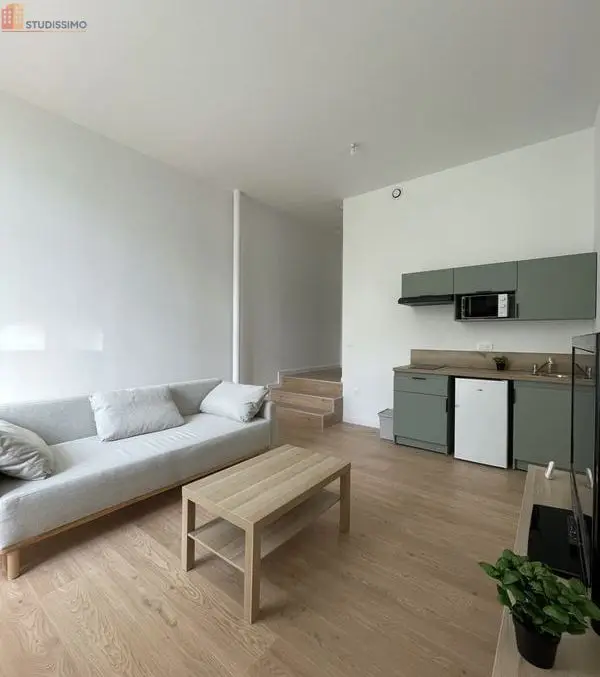Studio 29m² Saint-Étienne 42100 - Meublé, lumineux - Photo 11