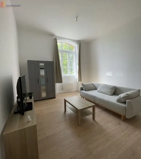 Studio 29m² Saint-Étienne 42100 - Meublé, lumineux - Photo 10