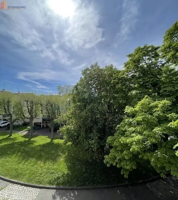 Studio 29m² Saint-Étienne 42100 - Meublé, lumineux - Photo 3