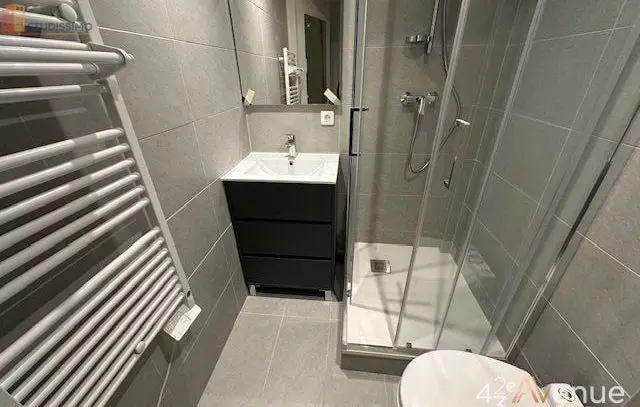 Studio meublé 19m² Saint-Étienne 42000 - Meublé, 1er étage - Photo 3