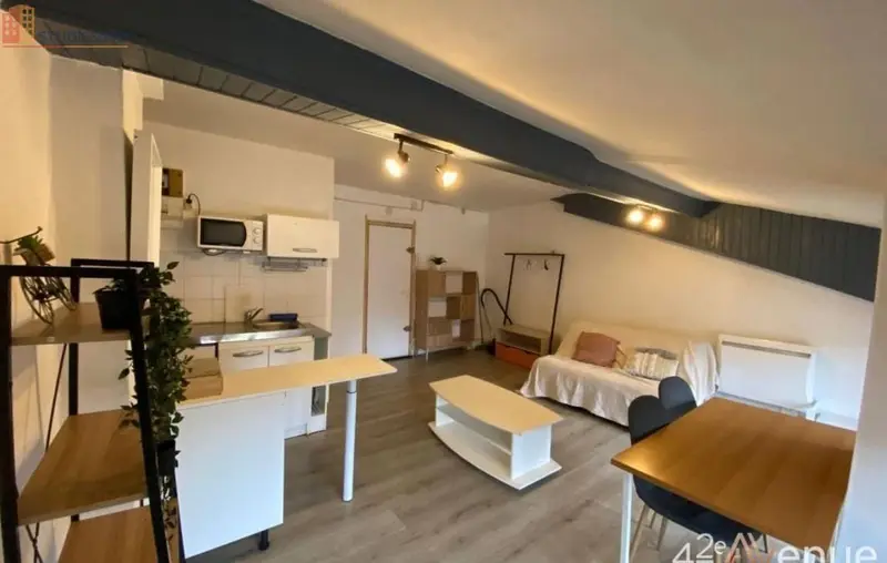 Studio 27m² Saint-Étienne 42000 - Meublé, dernier étage - Photo 4